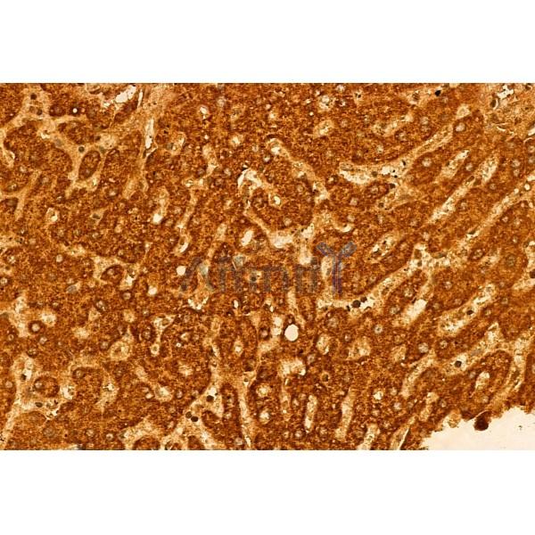 Валидация Affinity DF12025 - 6048