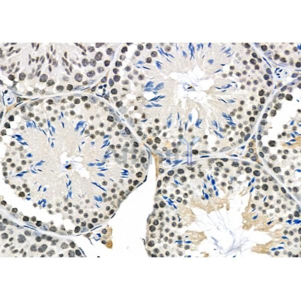 Валидация Affinity DF2330 - 12908