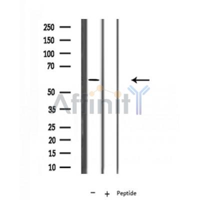 Валидация Affinity DF12400 - 6885