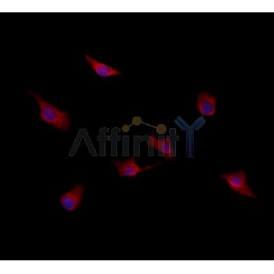 Валидация Affinity DF7769 - 19590