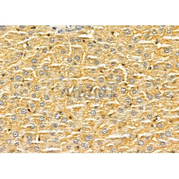 Валидация Affinity DF4882 - 16671