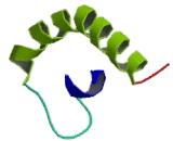 KDEL Endoplasmic Reticulum Protein Retention Receptor 2 (KDELR2) KDEL Endoplasmic Reticulum Protein Retention Receptor 2 (KDELR2)