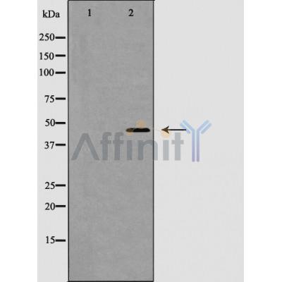 Валидация Affinity AF5438 - 3082