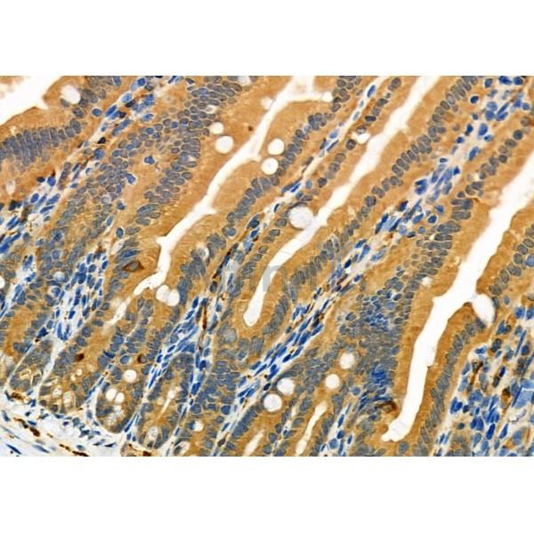 Валидация Affinity DF6538 - 17968