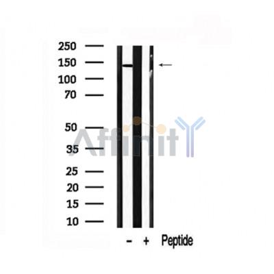 Валидация Affinity AF7681 - 4365