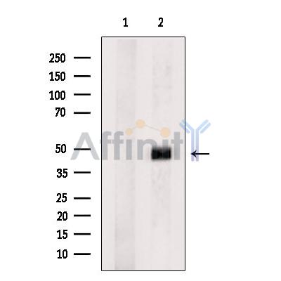 Валидация Affinity DF8599 - 20515