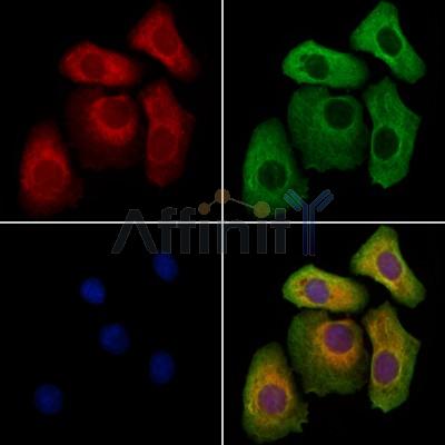 Валидация Affinity DF12415 - 6914