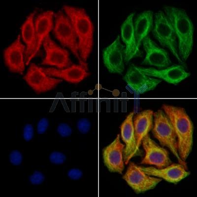 Валидация Affinity DF13334 - 8520