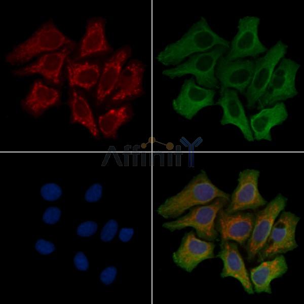 Валидация Affinity DF4381 - 15858