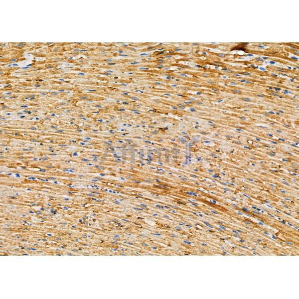 Валидация Affinity DF7889 - 19710