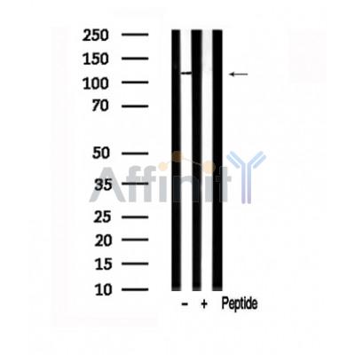 Валидация Affinity AF7570 - 4234
