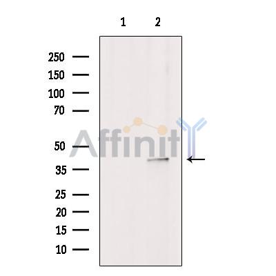 Валидация Affinity AF6327 - 3596