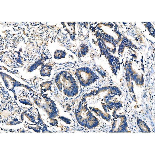 Валидация Affinity DF7426 - 19169