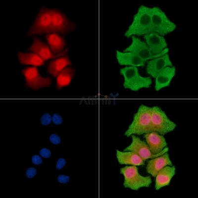 Валидация Affinity DF15349 - 11648