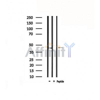 Валидация Affinity DF4877 - 16661