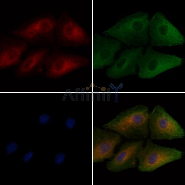 Валидация Affinity DF6551 - 17990