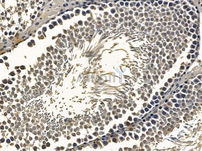 Валидация Affinity DF4676 - 16342