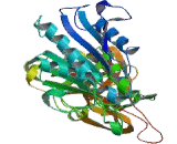 Lipase, Lipoprotein (LIPD)