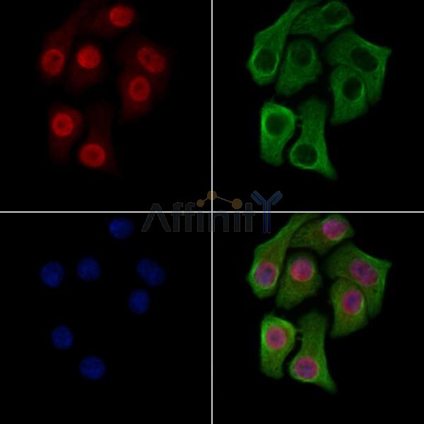 Валидация Affinity DF7252 - 18911