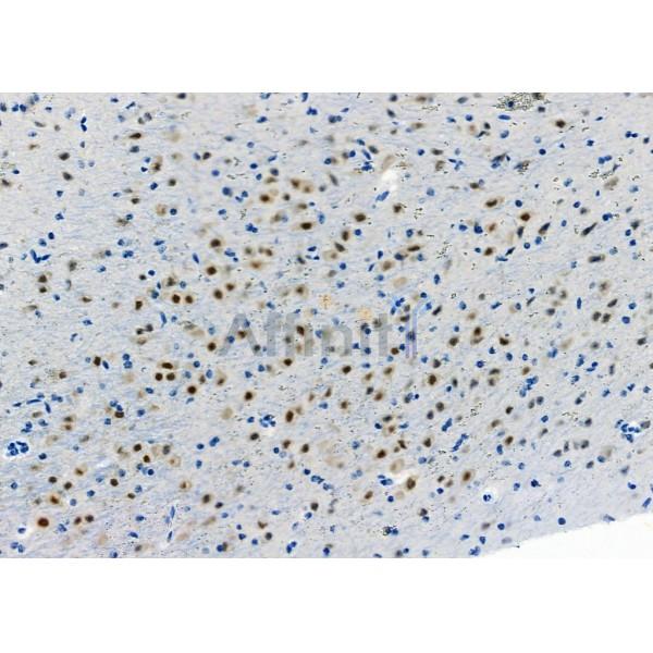 Валидация Affinity DF3227 - 14061