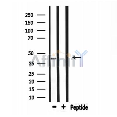 Валидация Affinity DF8653 - 20615