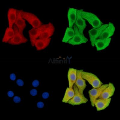 Валидация Affinity DF15469 - 11834