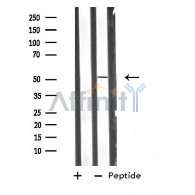 Валидация Affinity DF4794 - 16529