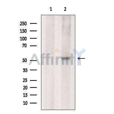 Валидация Affinity DF3291 - 14157