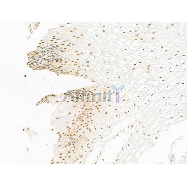 Валидация Affinity AF5348 - 2945