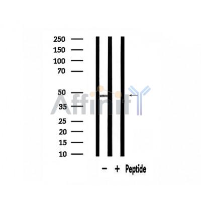 Валидация Affinity DF3722 - 14777