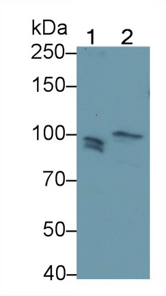 24149