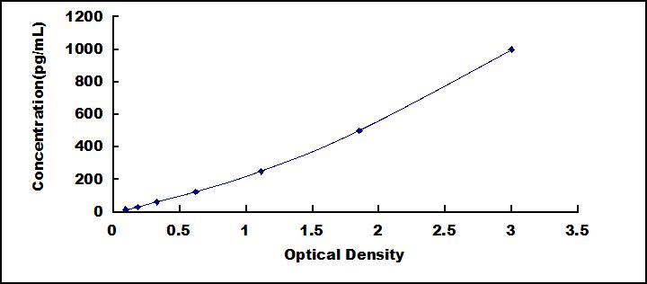 60904