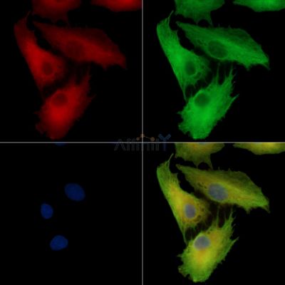 Валидация Affinity DF14007 - 9766