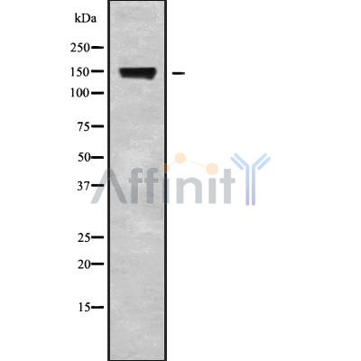 Валидация Affinity DF9366 - 21887