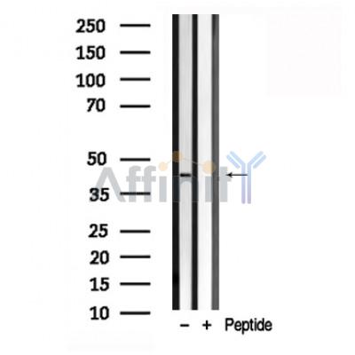 Валидация Affinity AF7816 - 4538