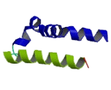 Chemokine Like Factor (CKLF) Chemokine Like Factor (CKLF)