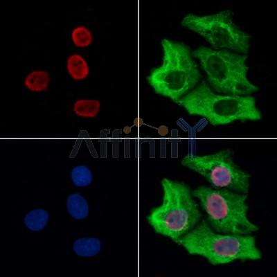 Валидация Affinity DF12317 - 6710