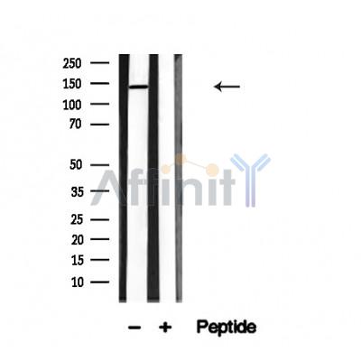 Валидация Affinity AF4682 - 2298