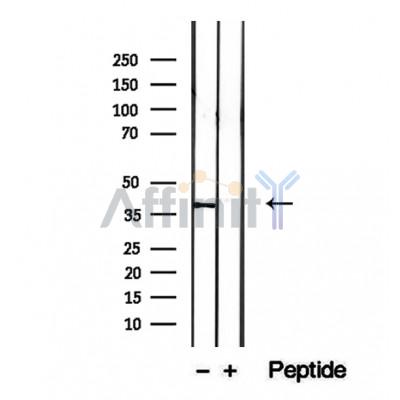 Валидация Affinity DF12284 - 6636