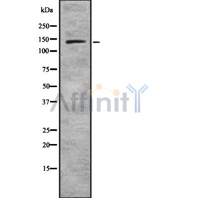 Валидация Affinity DF8604 - 20524
