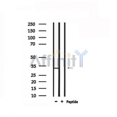 Валидация Affinity DF6279 - 17582