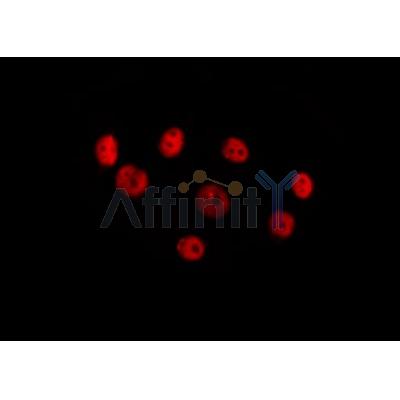 Валидация Affinity DF7128 - 18777