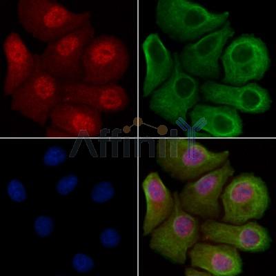 Валидация Affinity DF13015 - 7815