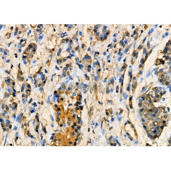 Валидация Affinity DF7391 - 19121