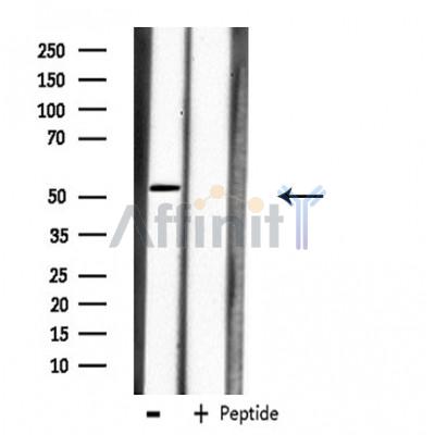 Валидация Affinity DF3899 - 15068