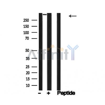 Валидация Affinity AF4760 - 2378