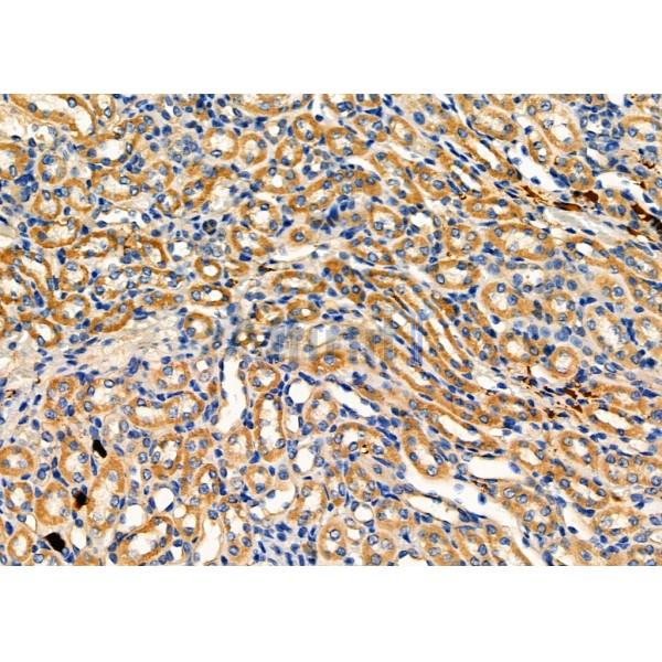 Валидация Affinity DF6183 - 17434