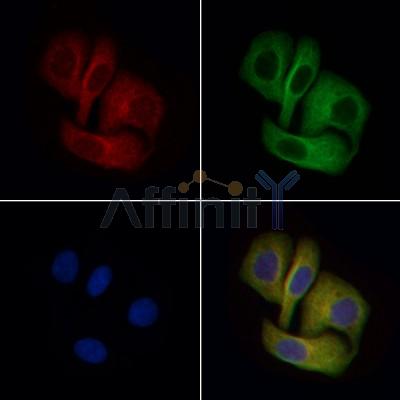 Валидация Affinity DF6676 - 18166