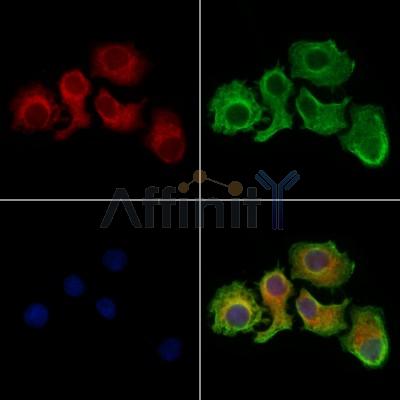 Валидация Affinity DF13222 - 8250