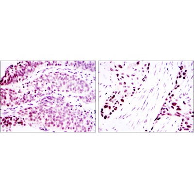 Валидация Affinity BF0563 - 5297